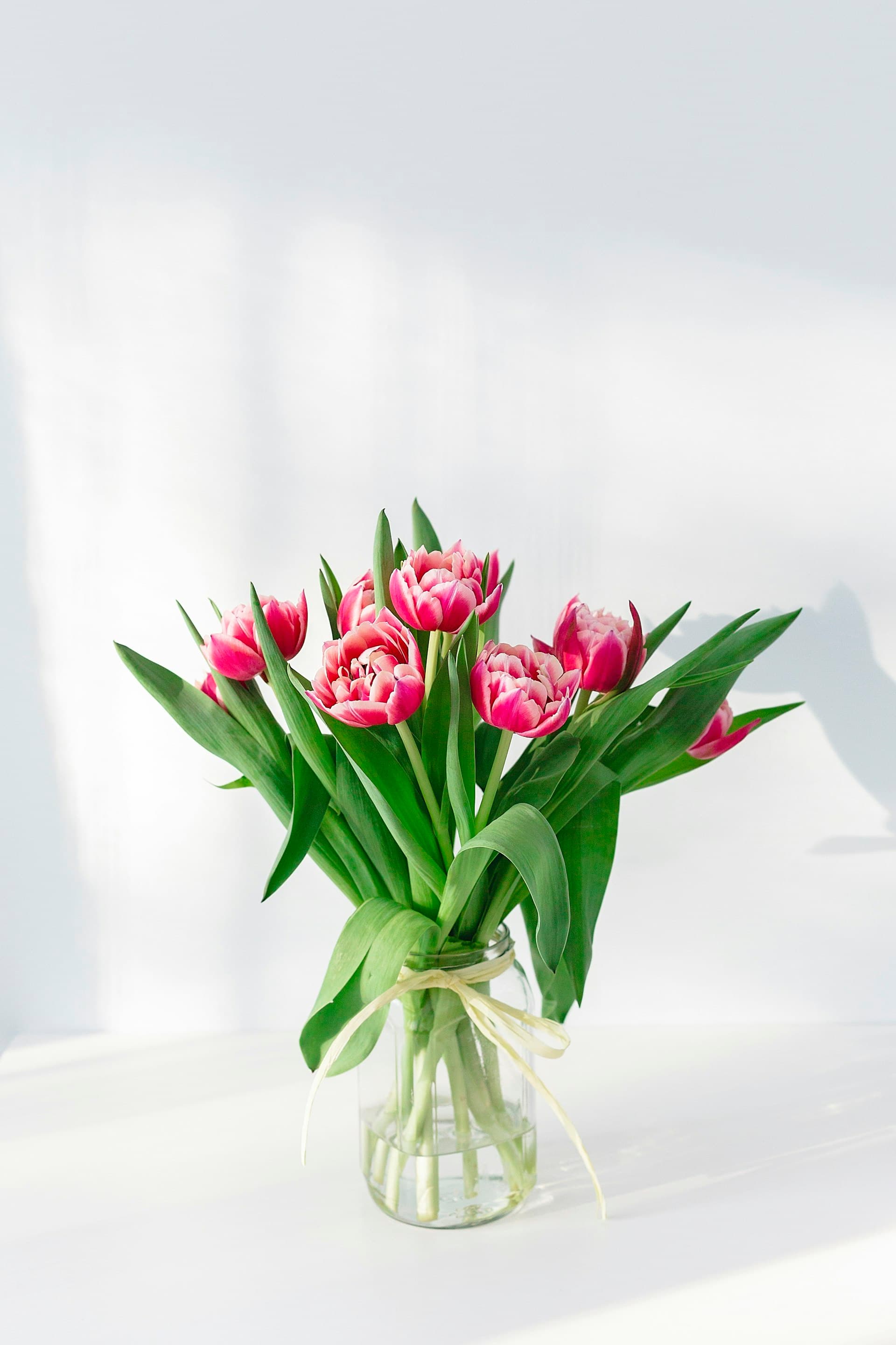A jar of fresh pink tulips catching warm afternoon light